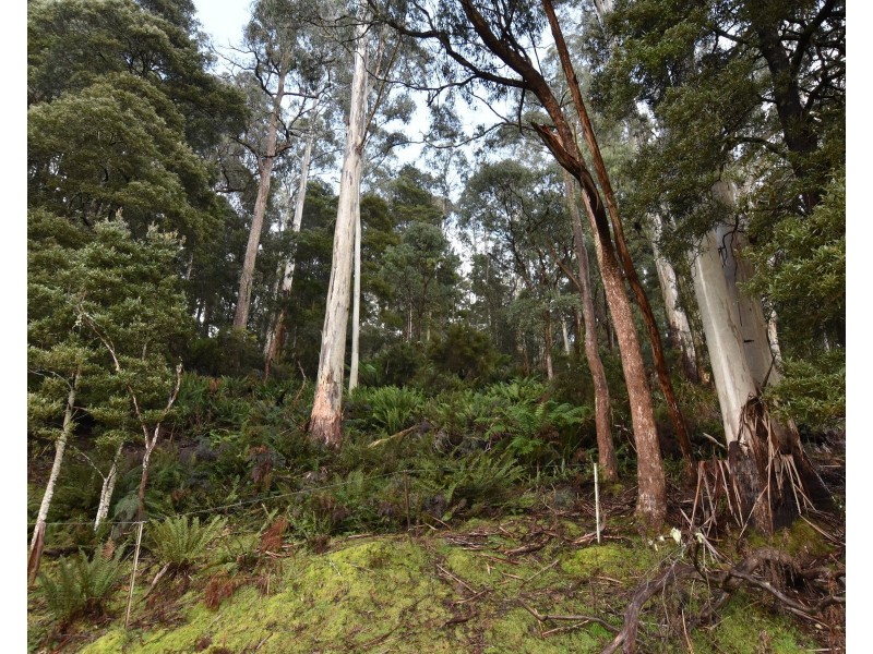 0 Echo Valley Rd, Liena TAS 7304