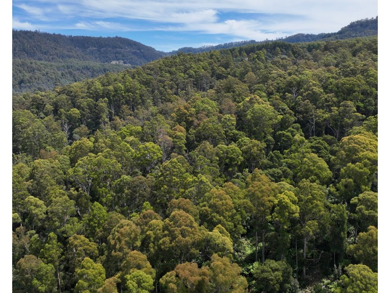 0 Echo Valley Rd, Liena TAS 7304