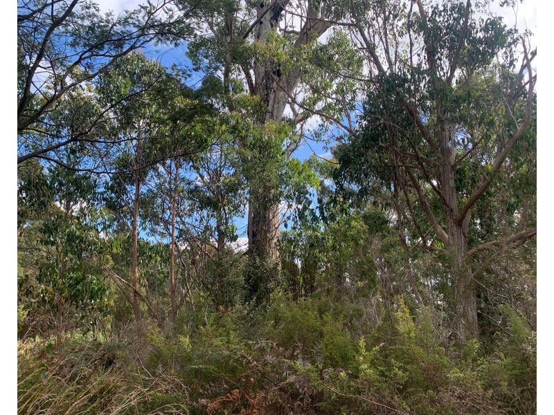 Lot 1 North St, Elizabeth Town TAS 7304