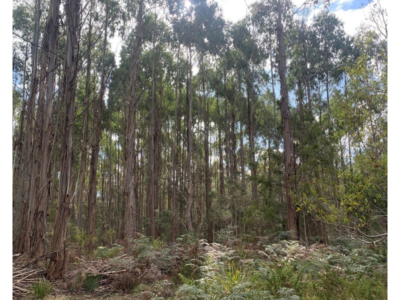 Lot 1 North St, Elizabeth Town TAS 7304