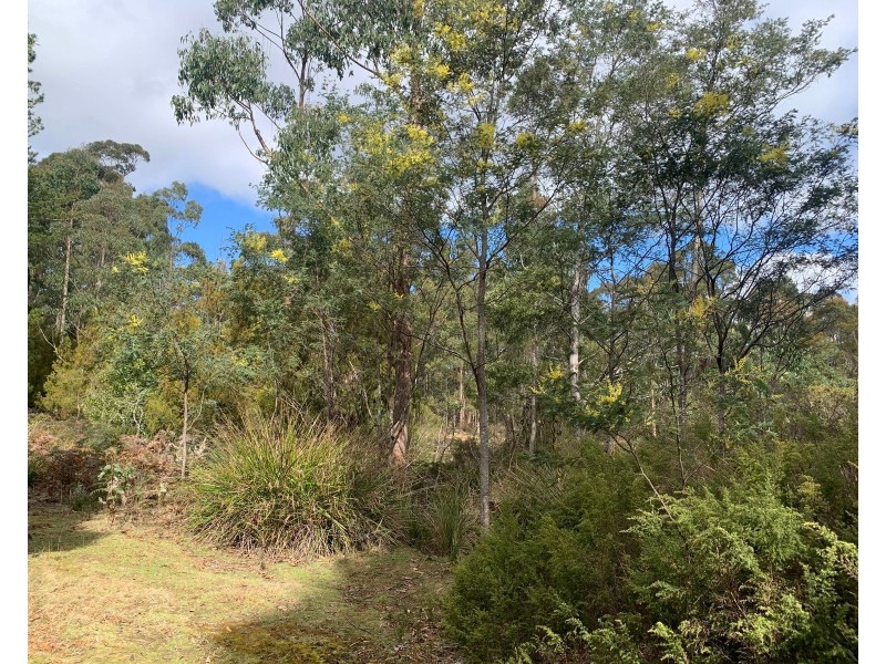 Lot 1 North St, Elizabeth Town TAS 7304