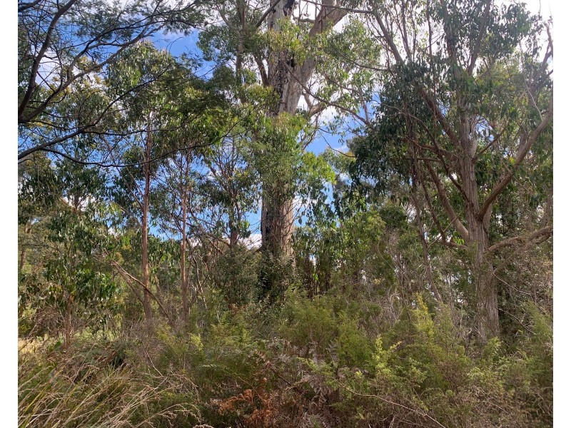 Lot 1 North St, Elizabeth Town TAS 7304