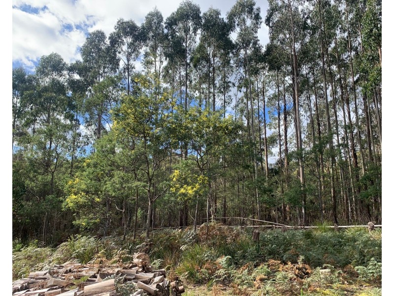 Lot 1 North St, Elizabeth Town TAS 7304