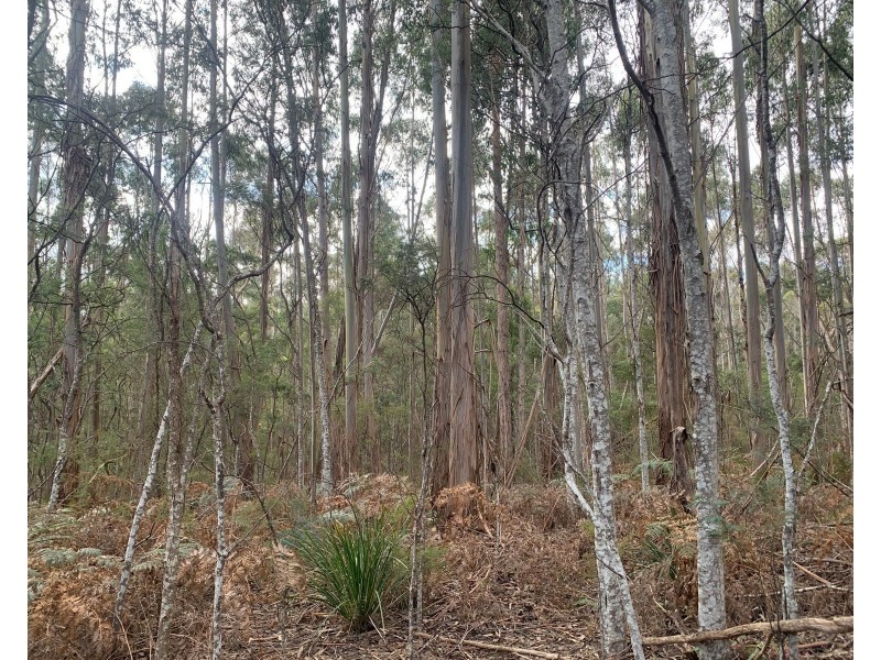 Lot 1 North St, Elizabeth Town TAS 7304