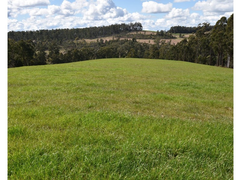 Lot 1 Quamby Brook Rd,, Quamby Brook TAS 7304
