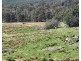 1535 & 1501 Tower Hill Rd, Mangana TAS 7214