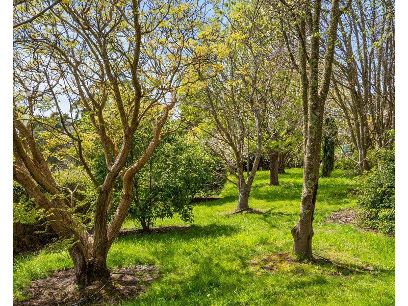 75 Longleys Road, Huonville TAS 7109