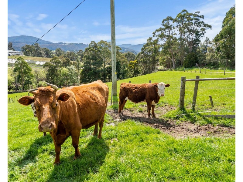 75 Longleys Road, Huonville TAS 7109
