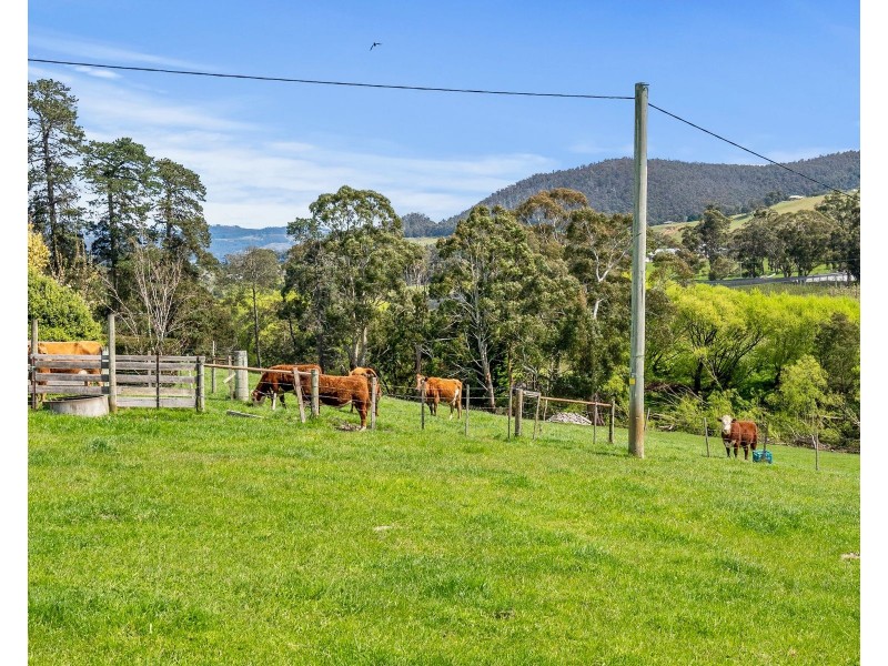 75 Longleys Road, Huonville TAS 7109