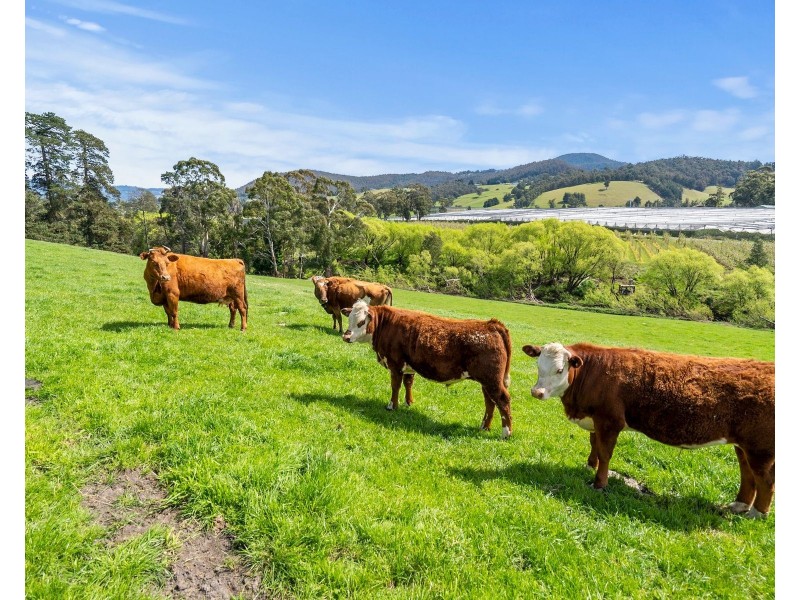 75 Longleys Road, Huonville TAS 7109