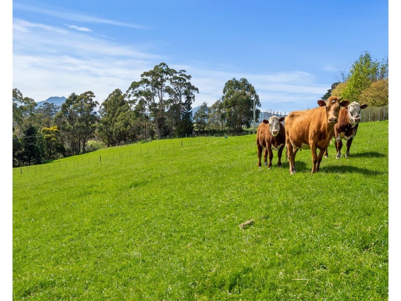 75 Longleys Road, Huonville TAS 7109