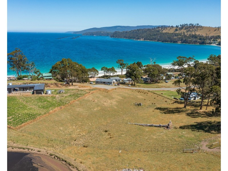 69 Dunn Drive, Surveyors Bay TAS 7116