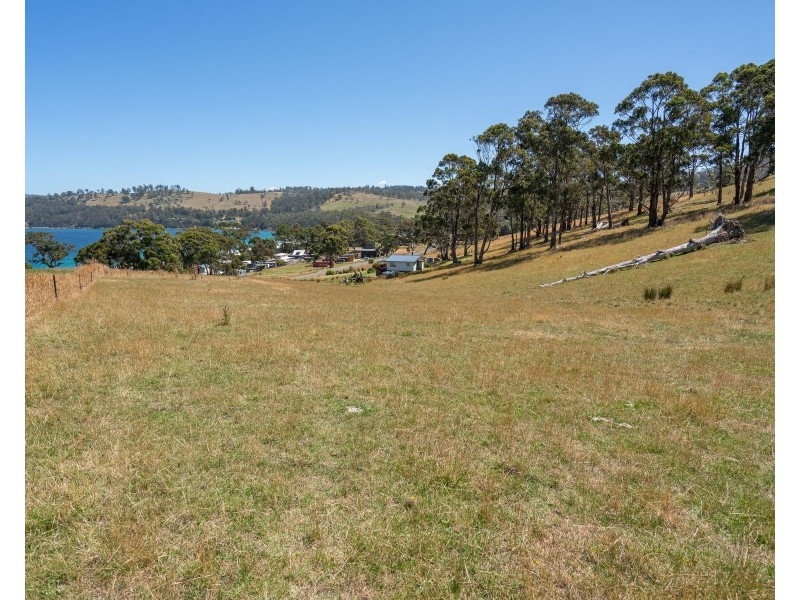69 Dunn Drive, Surveyors Bay TAS 7116