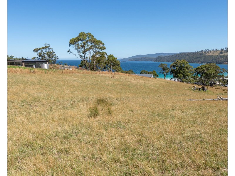 69 Dunn Drive, Surveyors Bay TAS 7116