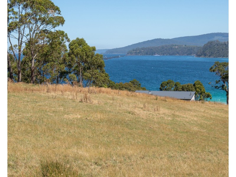 69 Dunn Drive, Surveyors Bay TAS 7116