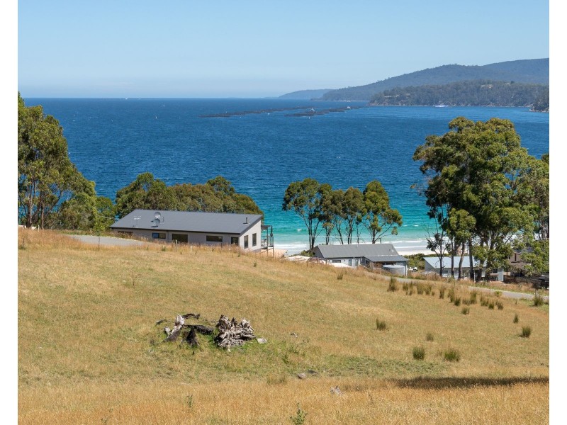 69 Dunn Drive, Surveyors Bay TAS 7116