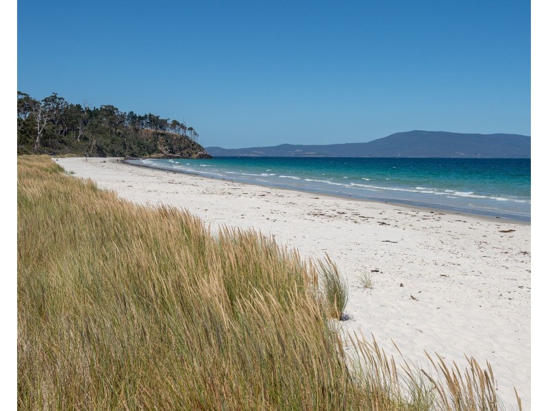 69 Dunn Drive, Surveyors Bay TAS 7116