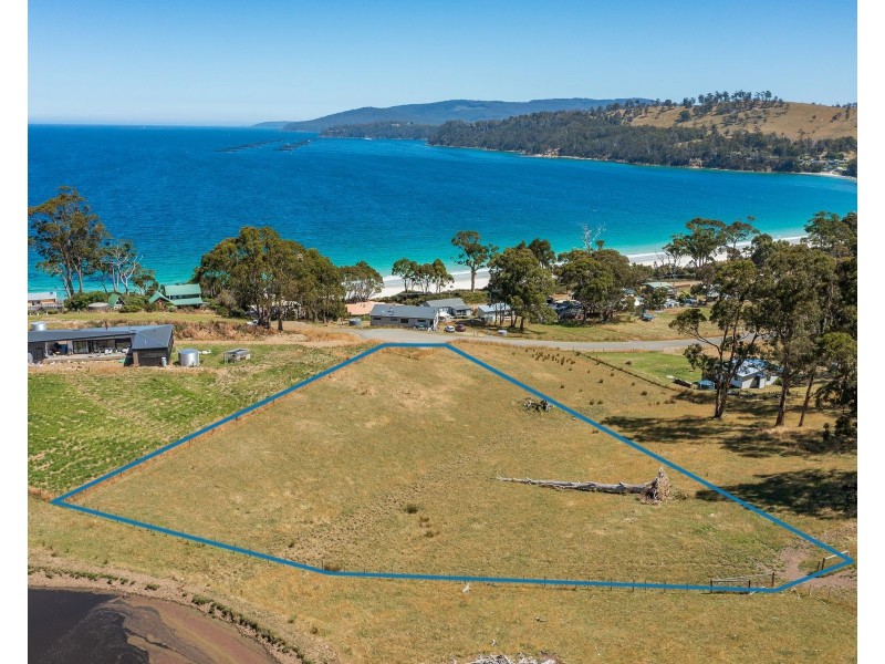 69 Dunn Drive, Surveyors Bay TAS 7116