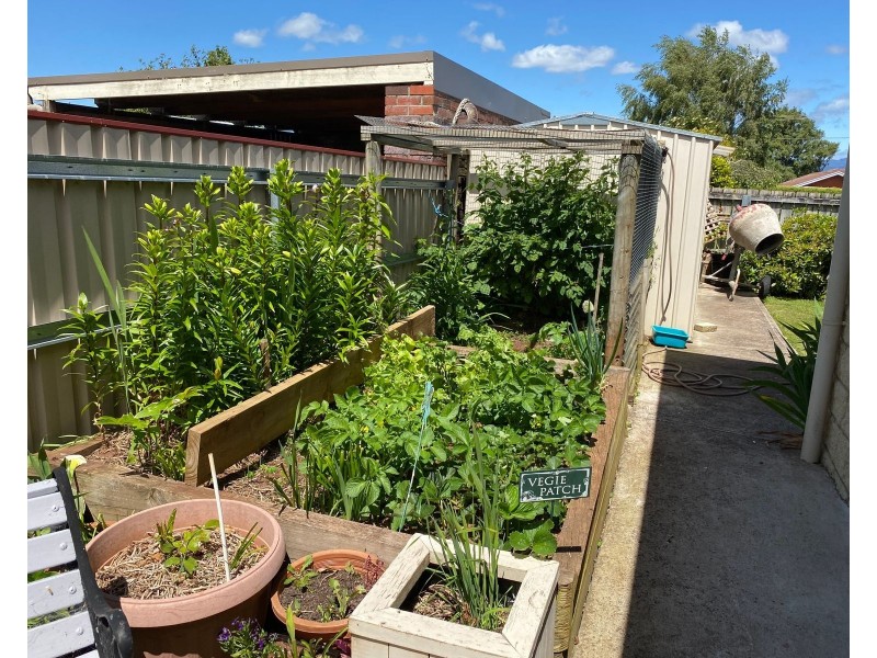 6 Winter St, Deloraine TAS 7304