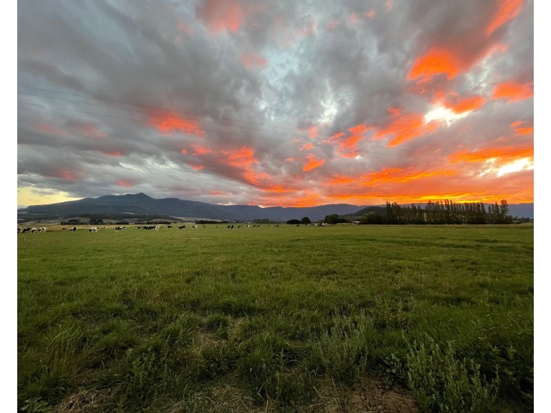 Dairy Plains TAS 7304