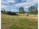 420 Mole Creek Rd, Deloraine TAS 7304