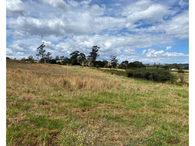 420 Mole Creek Rd, Deloraine TAS 7304