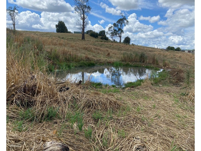 420 Mole Creek Rd, Deloraine TAS 7304