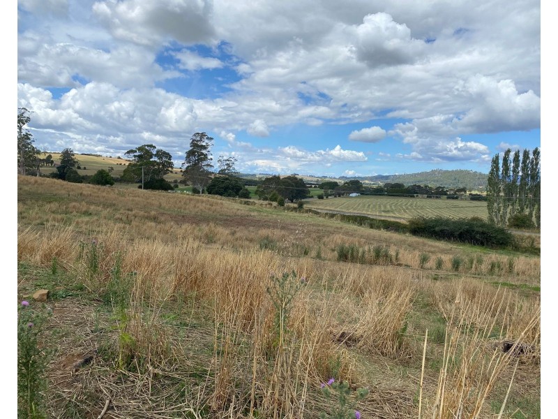 420 Mole Creek Rd, Deloraine TAS 7304
