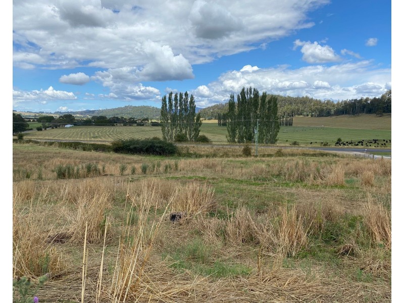 420 Mole Creek Rd, Deloraine TAS 7304