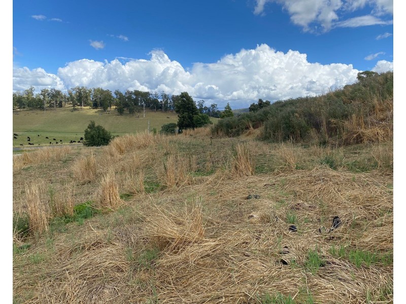 420 Mole Creek Rd, Deloraine TAS 7304