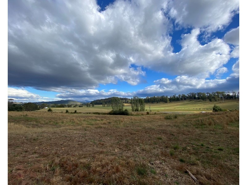 420 Mole Creek Rd, Deloraine TAS 7304