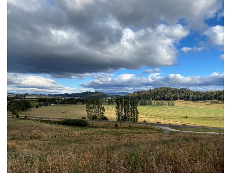 420 Mole Creek Rd, Deloraine TAS 7304
