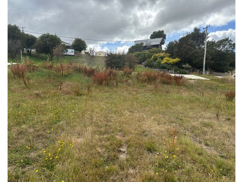 76 West Barrack Street, Deloraine TAS 7304