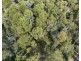 Lot 9 River Road, Deloraine TAS 7304