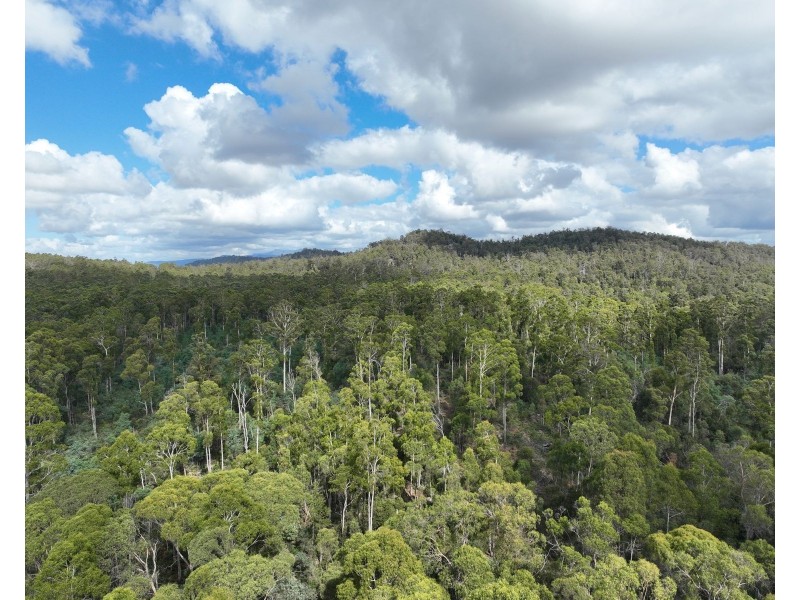 Lot 9 River Road, Deloraine TAS 7304