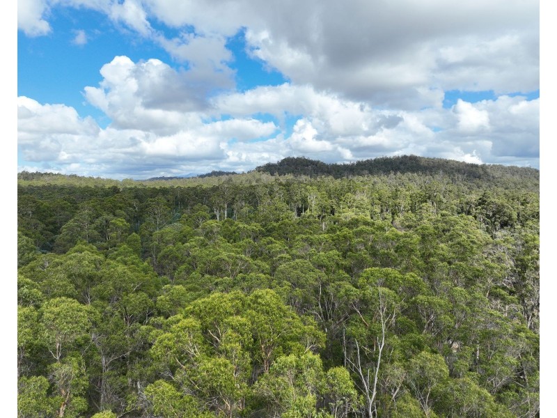 Lot 9 River Road, Deloraine TAS 7304