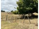 209 Main Road, Meander TAS 7304