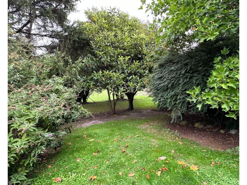 353. Union Bridge Road, Mole Creek TAS 7304