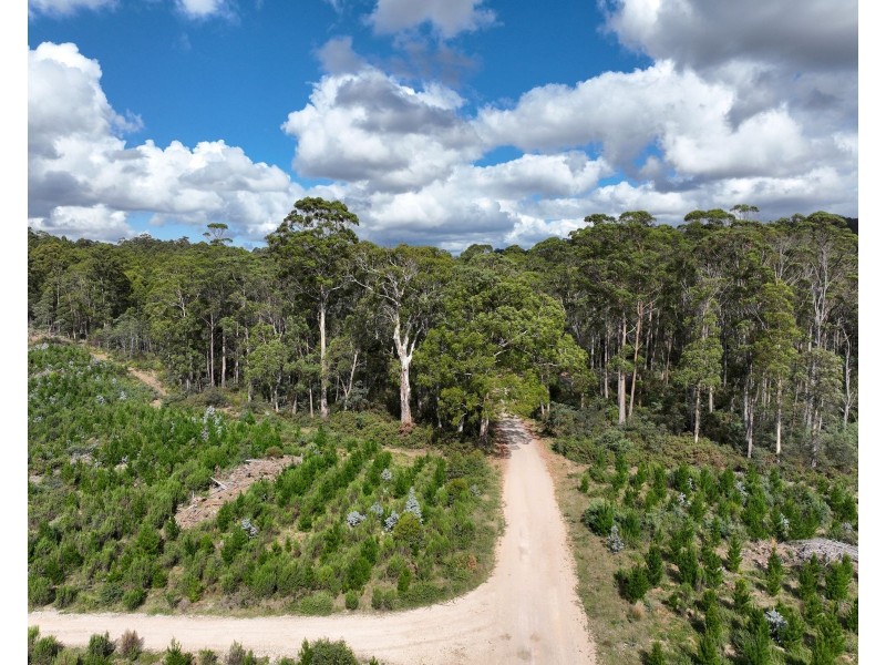 Lot 12 &13 Porters Bridge Road, Exton TAS 7303