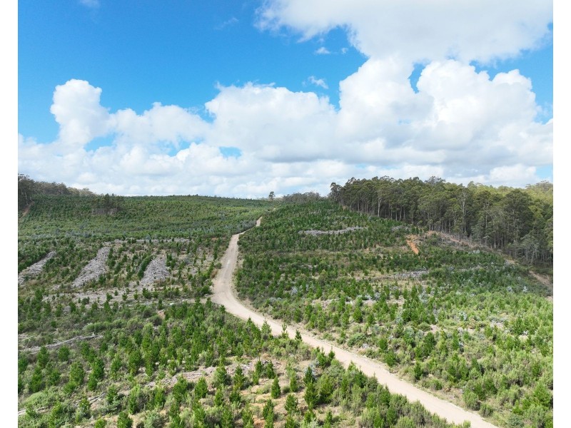 Lot 12 &13 Porters Bridge Road, Exton TAS 7303