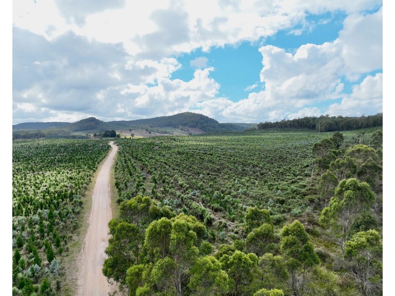 Lot 12 &13 Porters Bridge Road, Exton TAS 7303