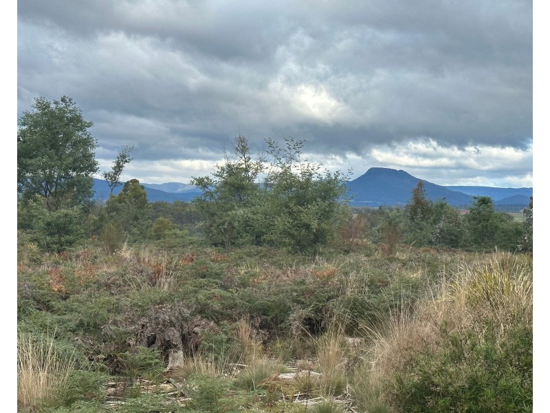 41 Wadleys Rd, Reedy Marsh TAS 7304