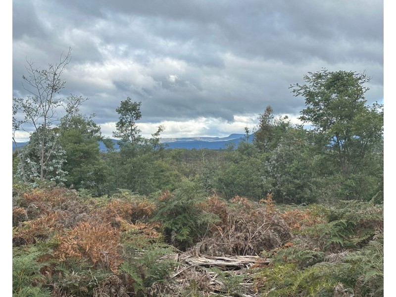 41 Wadleys Rd, Reedy Marsh TAS 7304