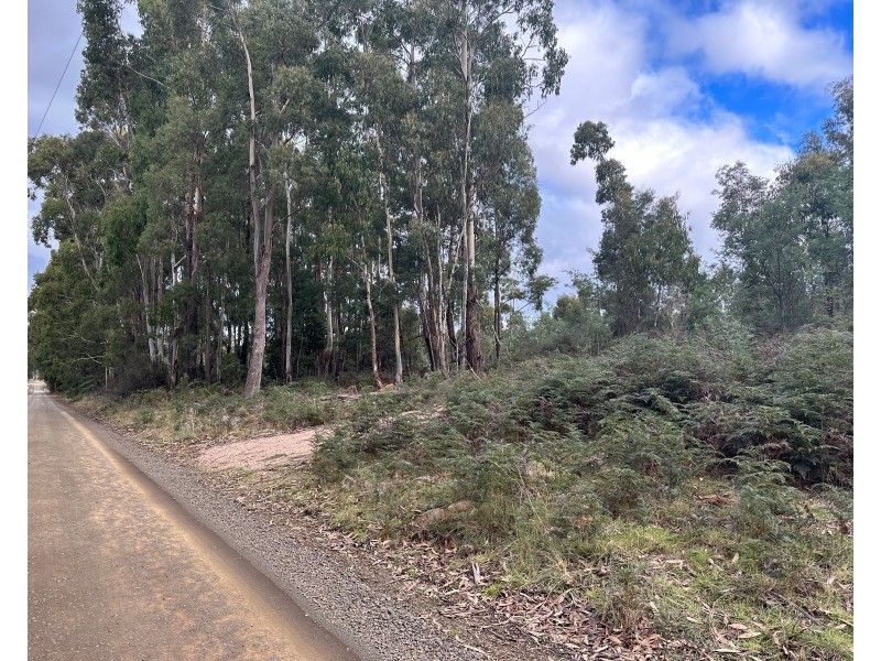 41 Wadleys Rd, Reedy Marsh TAS 7304