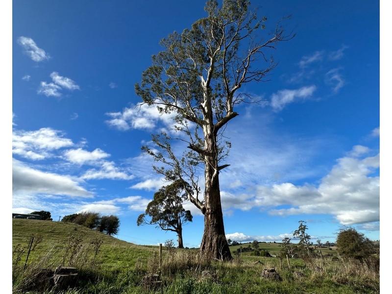 Lot 1 Mole Creek Rd, Deloraine TAS 7304