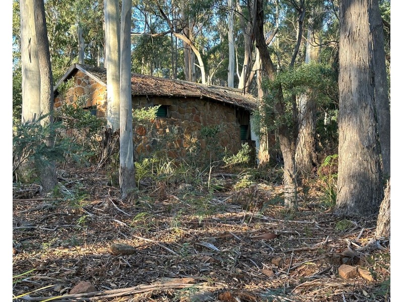 49 Farrells Road, Reedy Marsh TAS 7304