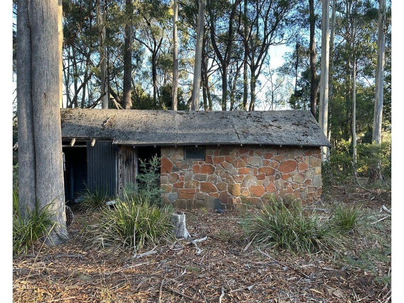 49 Farrells Road, Reedy Marsh TAS 7304