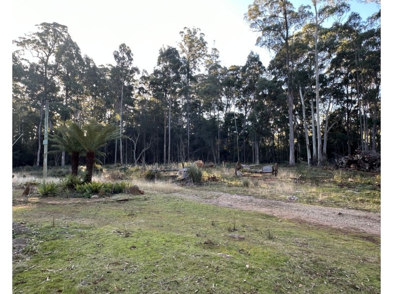 49 Farrells Road, Reedy Marsh TAS 7304