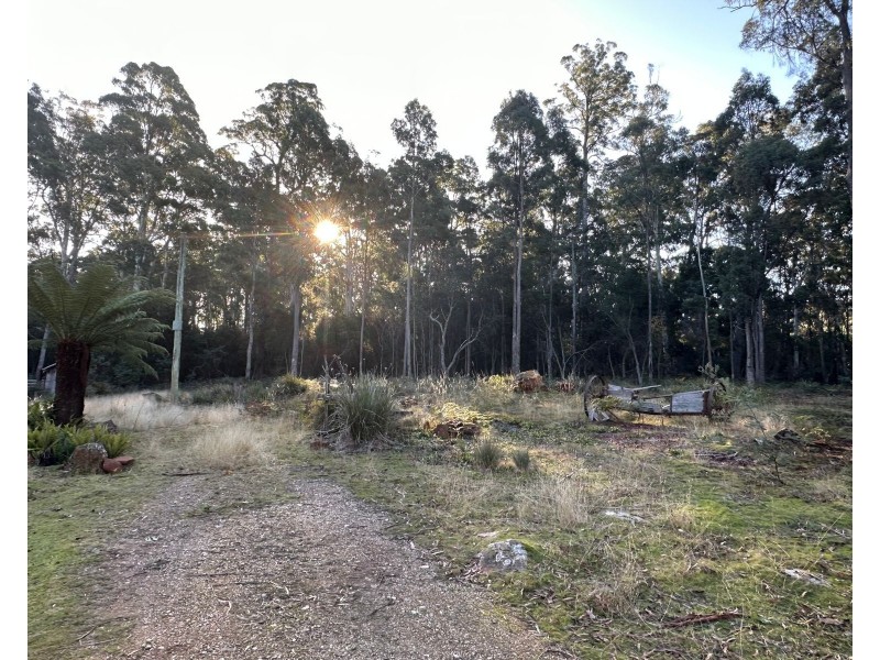 49 Farrells Road, Reedy Marsh TAS 7304