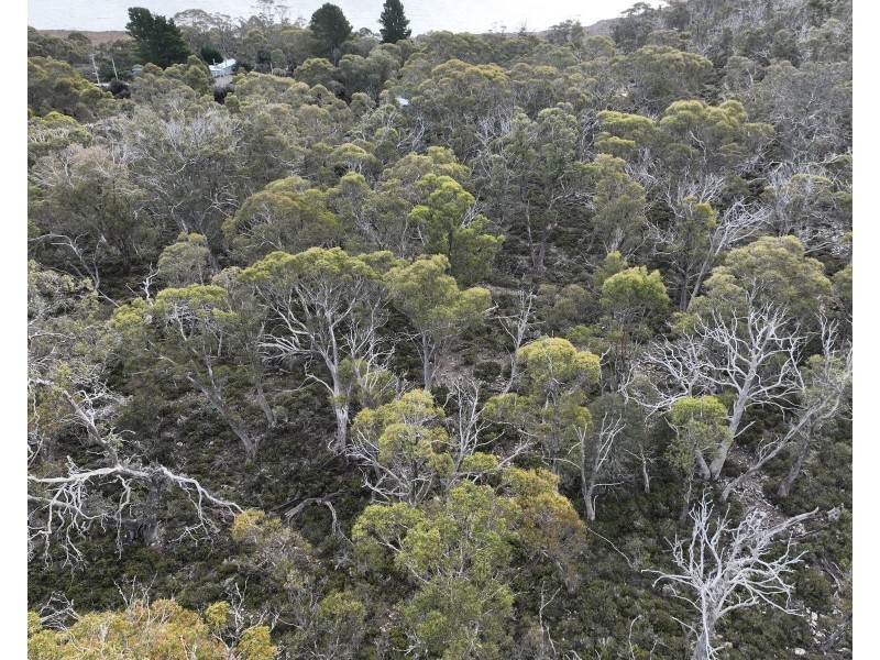 13 Watkins Road, Tods Corner TAS 7030